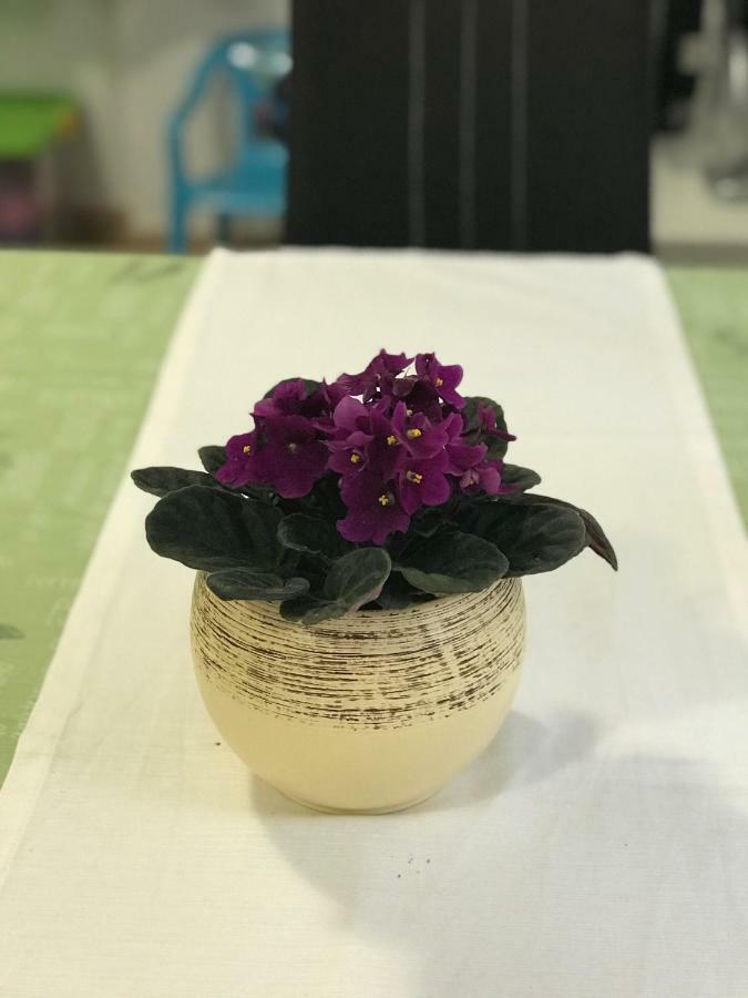 船长公寓 察夫塔特 外观 照片